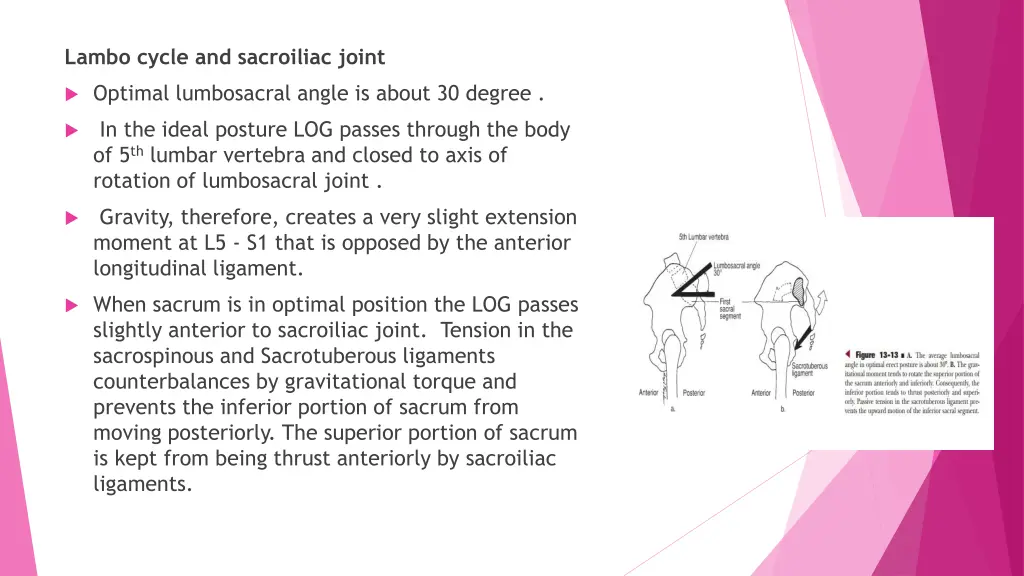 lambo cycle and sacroiliac joint