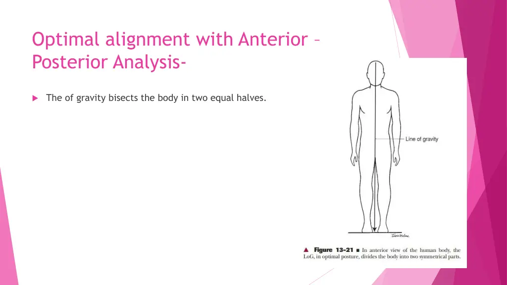 optimal alignment with anterior posterior analysis