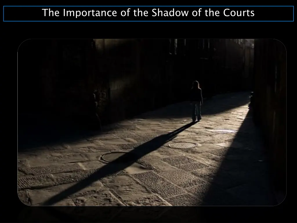 the importance of the shadow of the courts