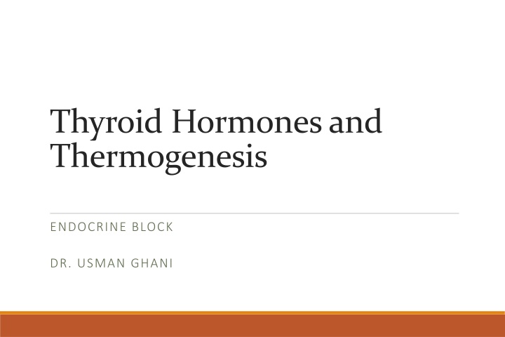 thyroid hormones and thermogenesis