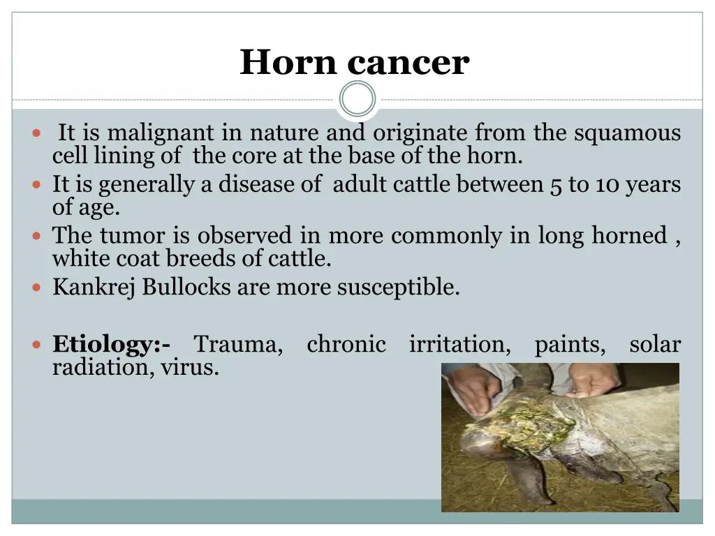 horn cancer