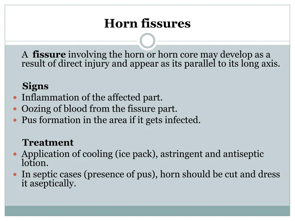 horn fissures