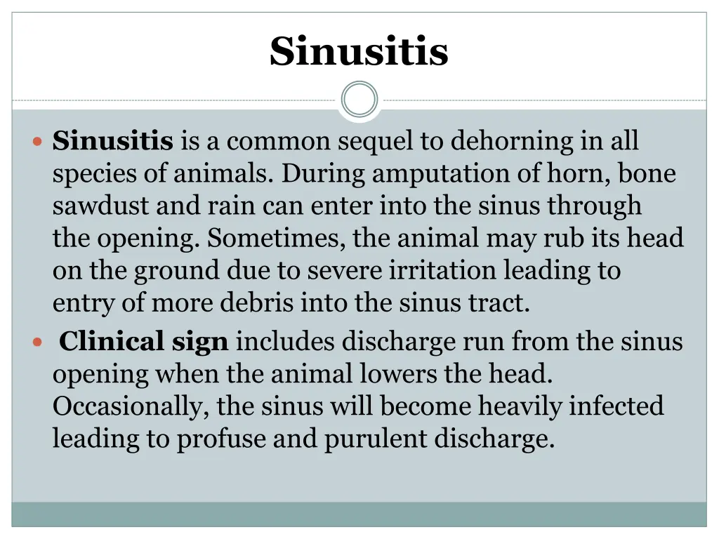 sinusitis