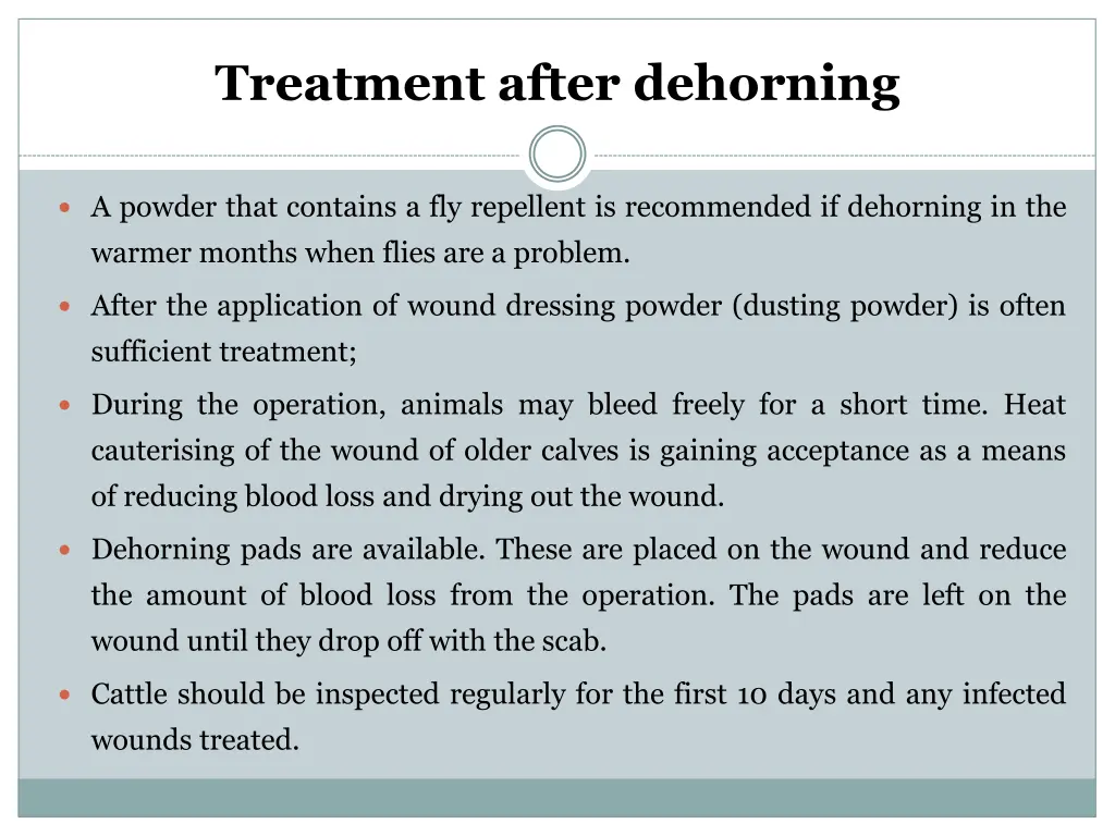 treatment after dehorning