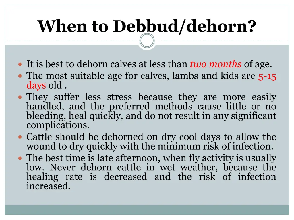 when to debbud dehorn