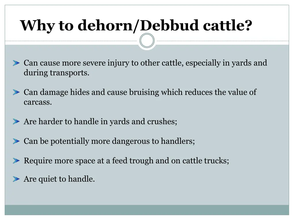 why to dehorn debbud cattle