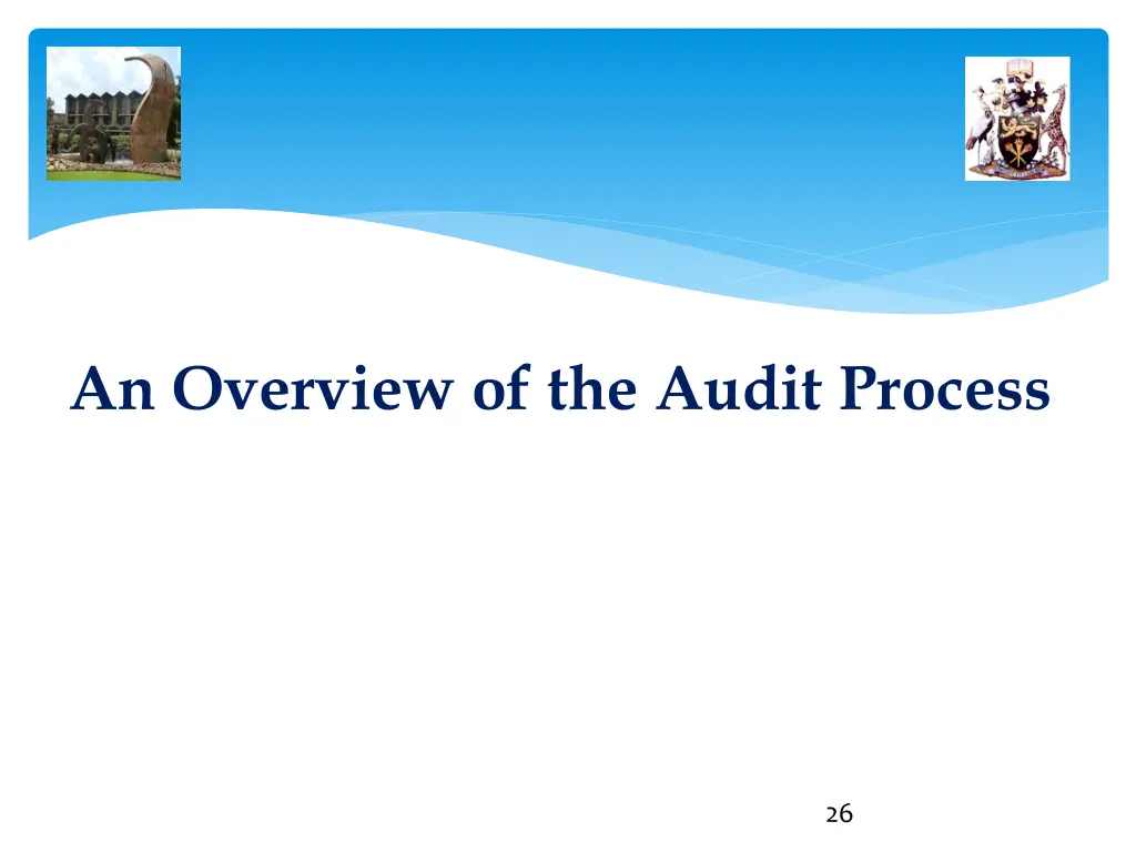 an overview of the audit process