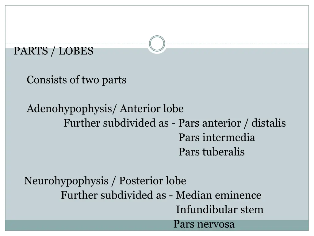 parts lobes