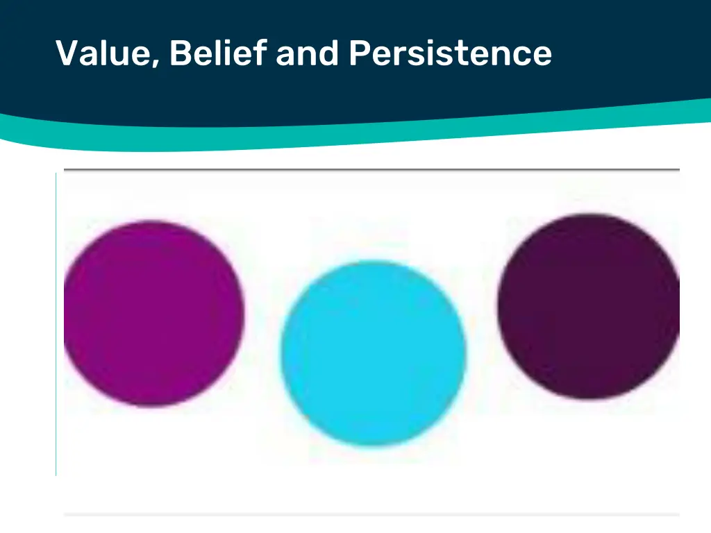 value belief and persistence 1