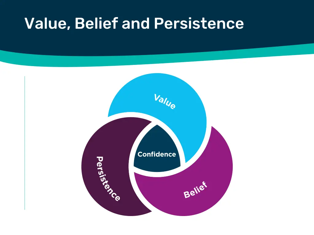 value belief and persistence