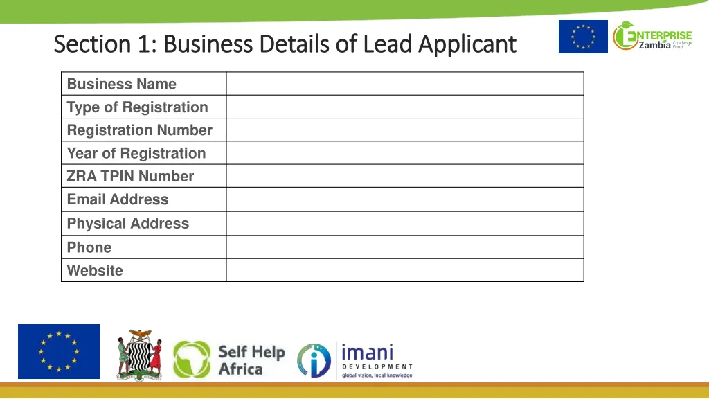 section 1 business details of lead applicant