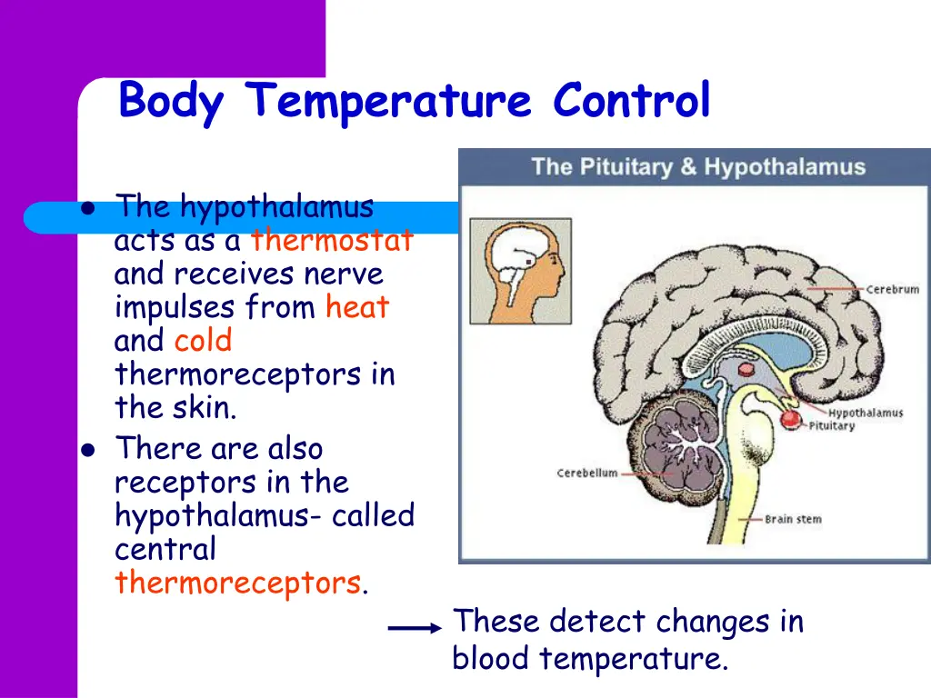 body temperature control