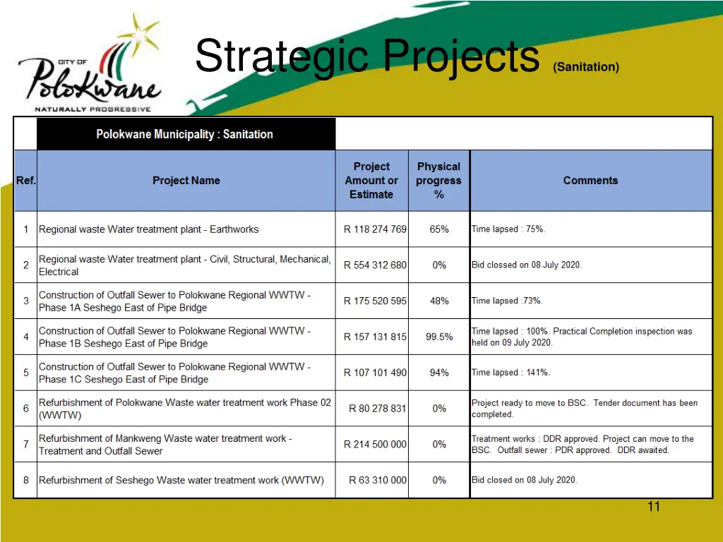 strategic projects sanitation 1