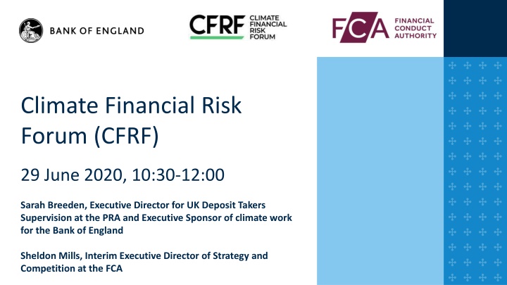 climate financial risk forum cfrf