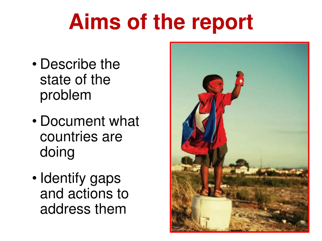 aims of the report