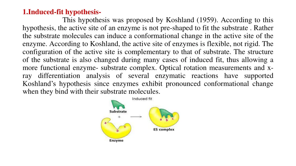 1 induced fit hypothesis