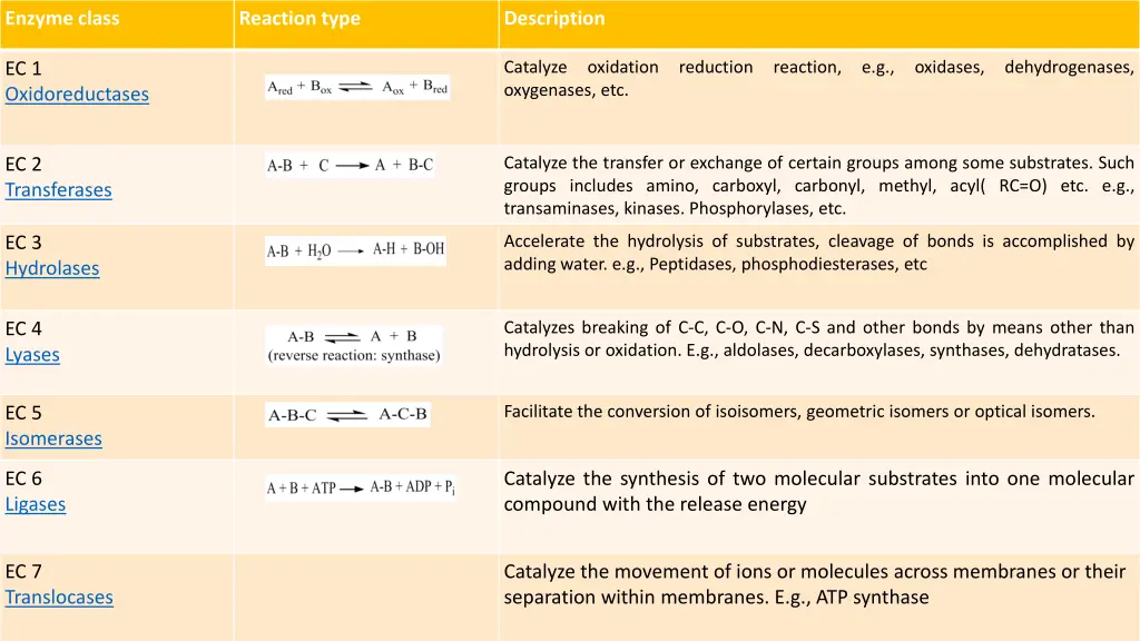 enzyme class