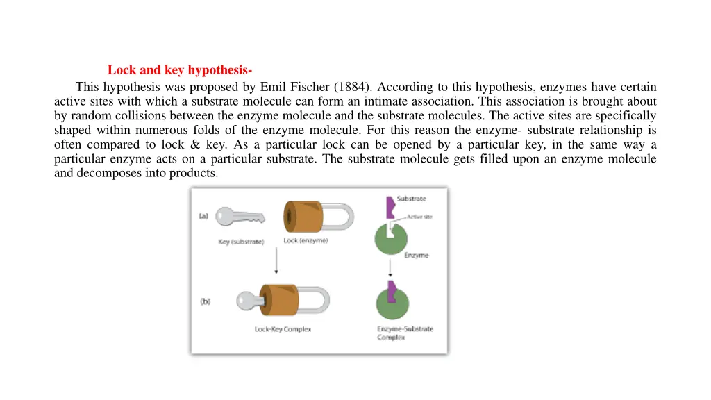 lock and key hypothesis this hypothesis