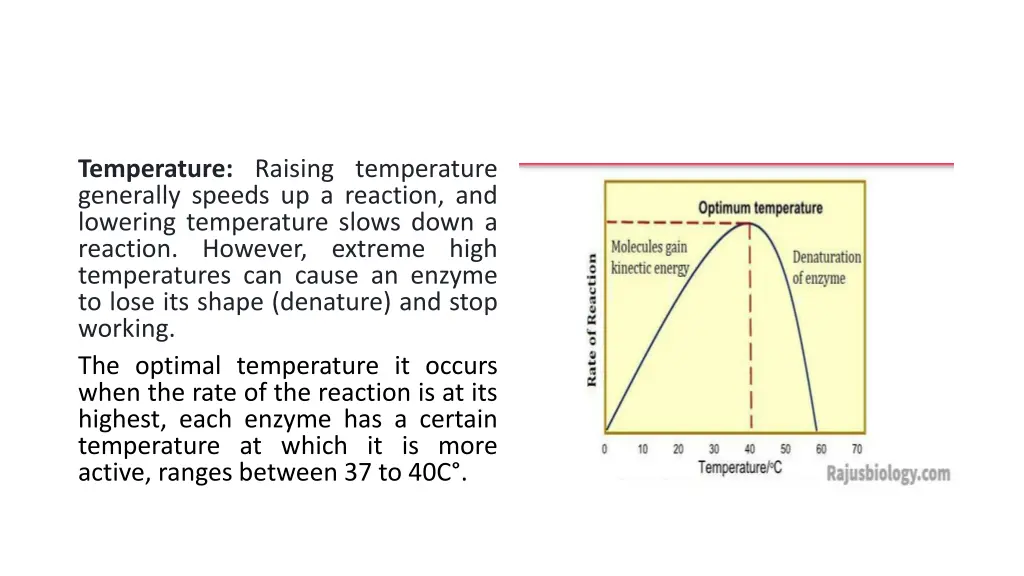 temperature raising temperature generally speeds