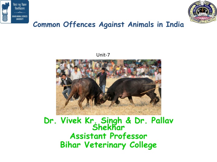 common offences against animals in india