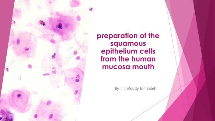 preparation of the squamous epithelium cells from