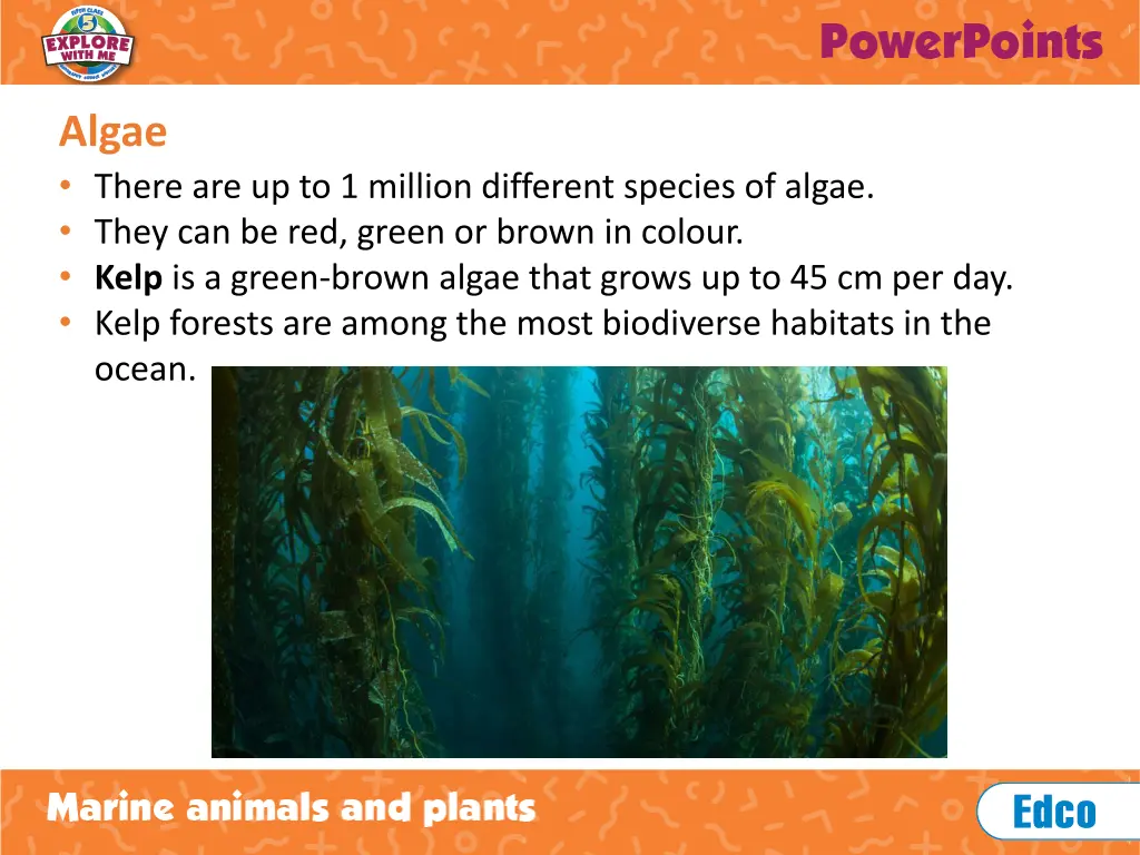 algae there are up to 1 million different species