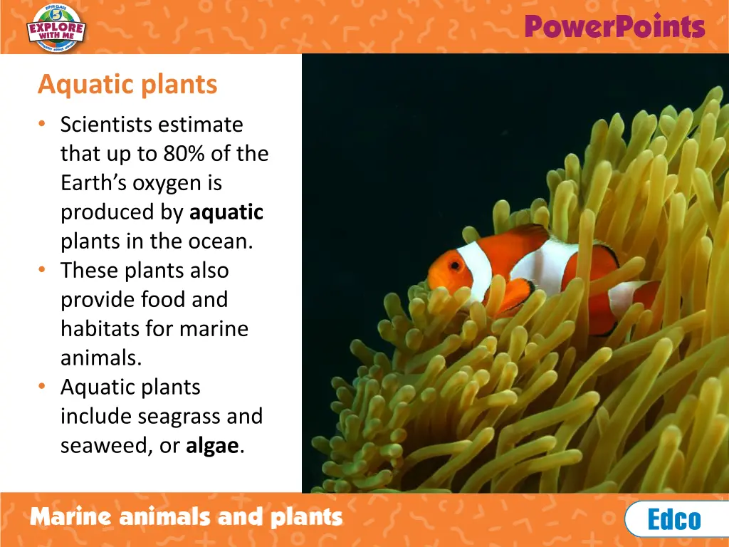 aquatic plants scientists estimate that