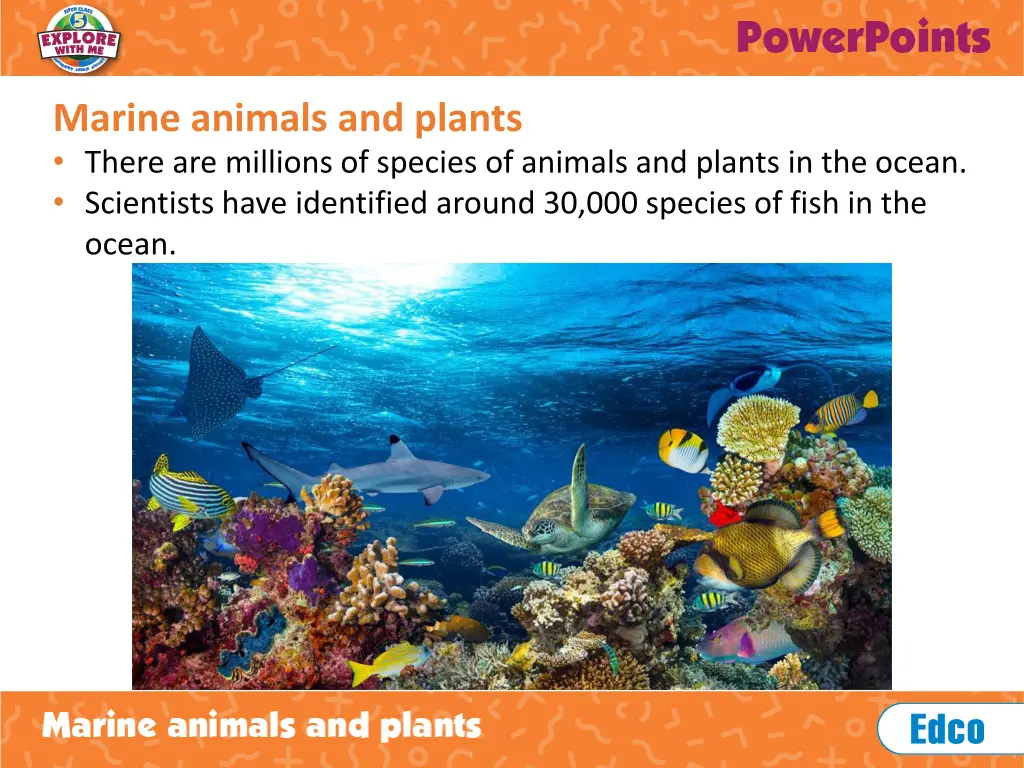 marine animals and plants there are millions