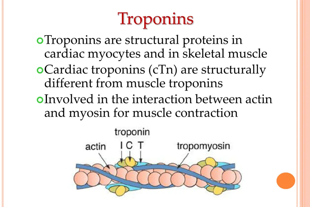 troponins