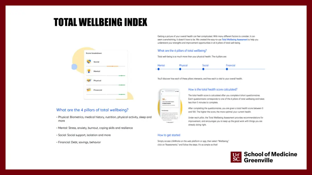 total wellbeing index