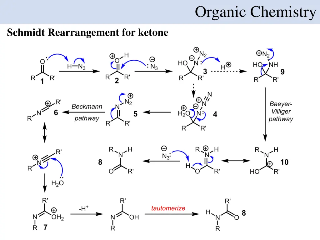 organic chemistry 11