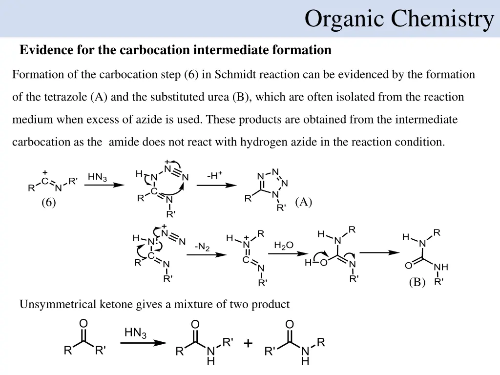 organic chemistry 12