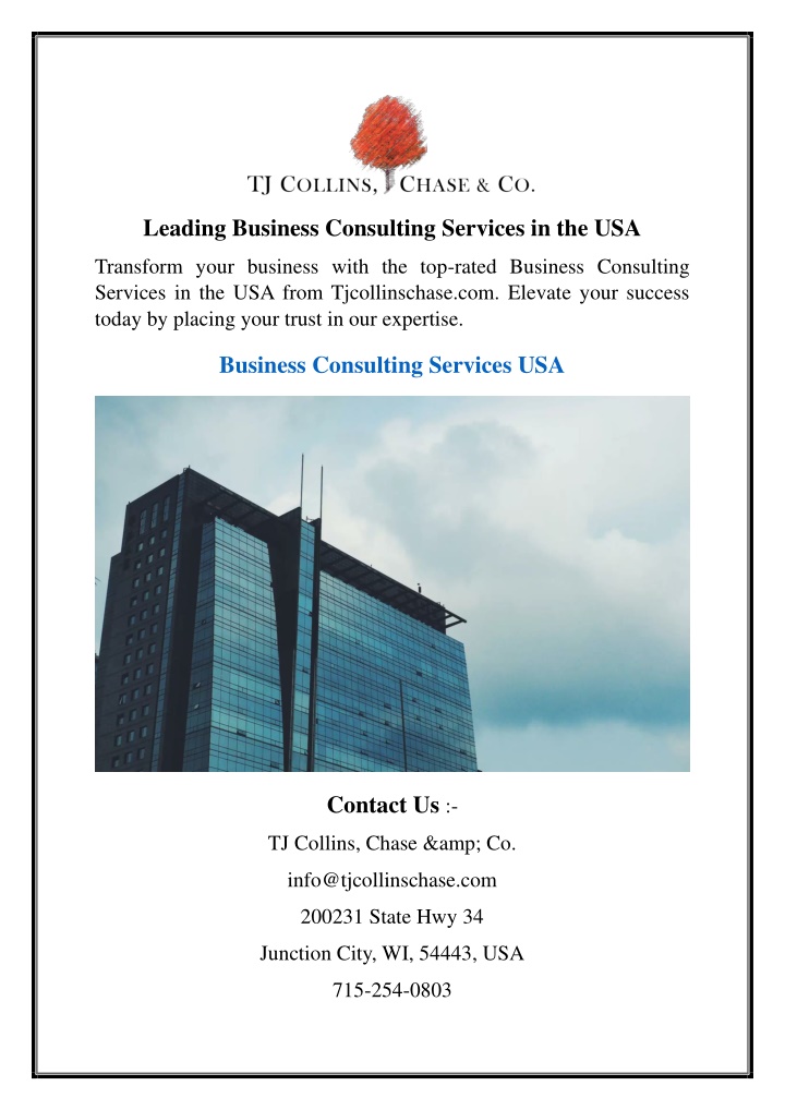 leading business consulting services in the usa