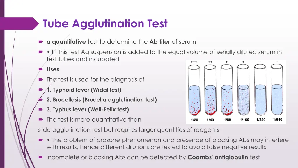 tube agglutination test