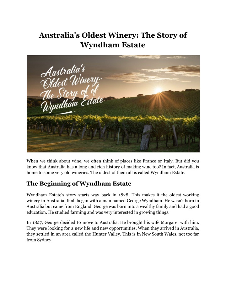 australia s oldest winery the story of wyndham