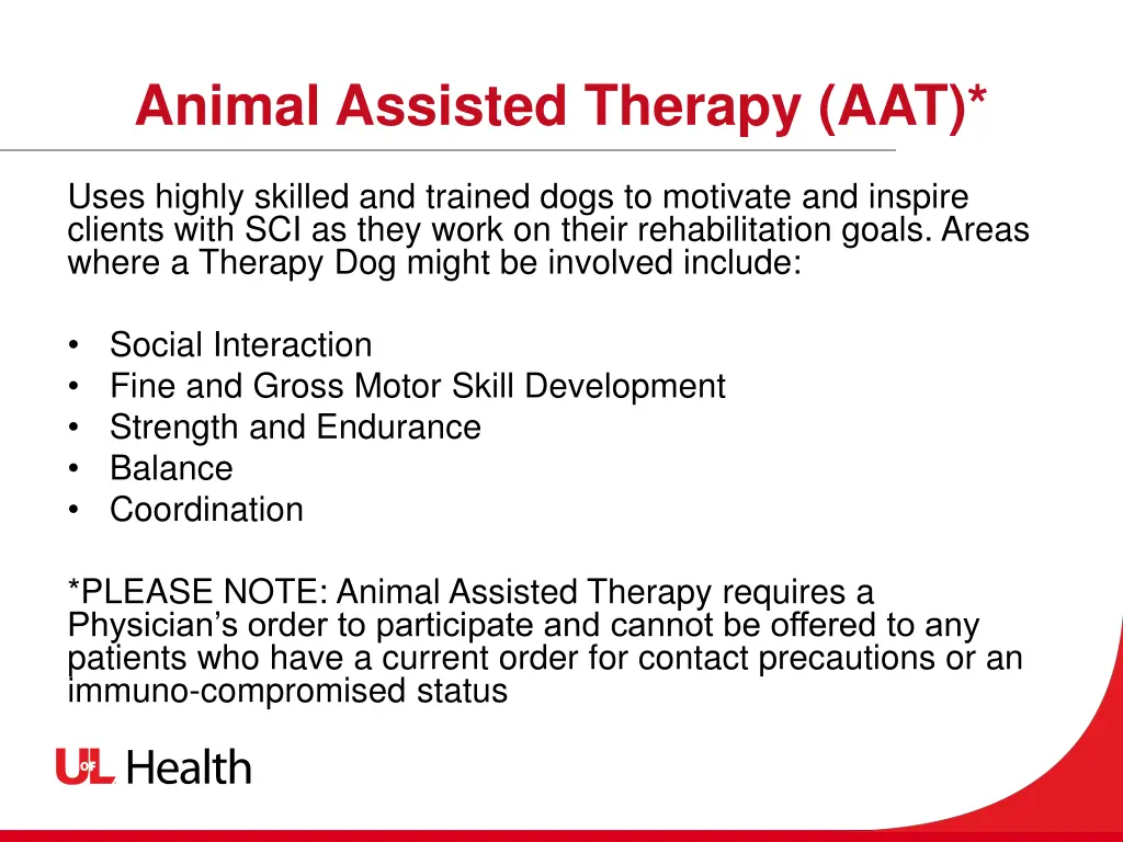 animal assisted therapy aat