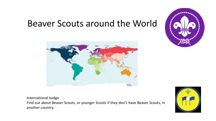 beaver scouts around the world