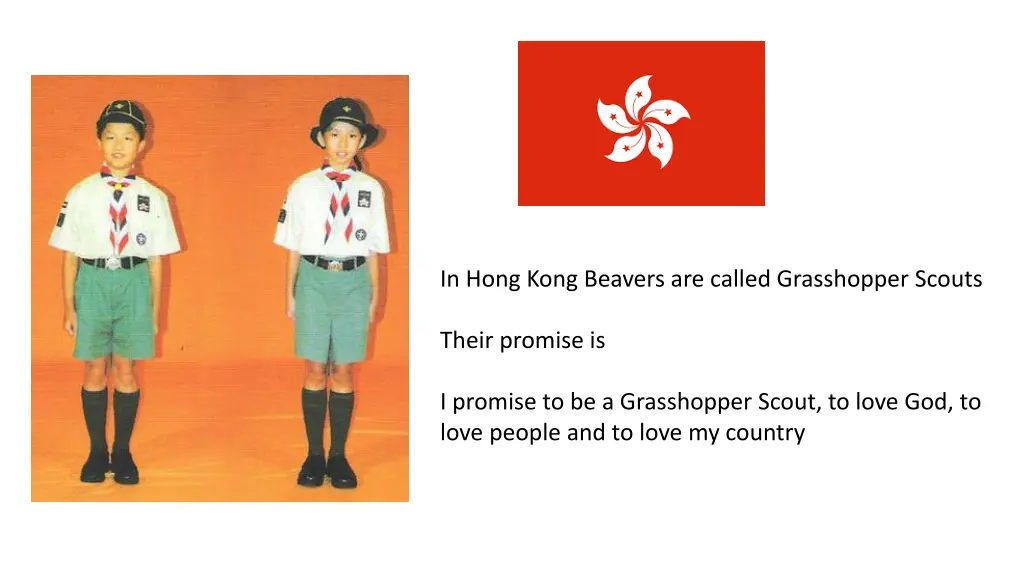 in hong kong beavers are called grasshopper scouts