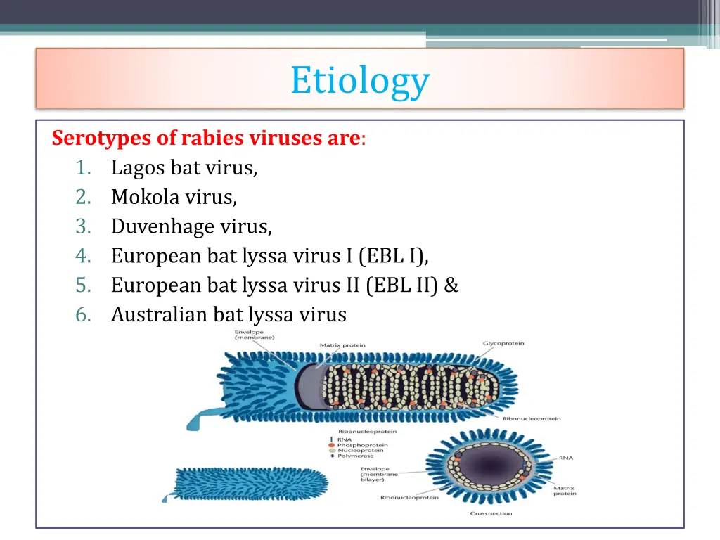 etiology 1