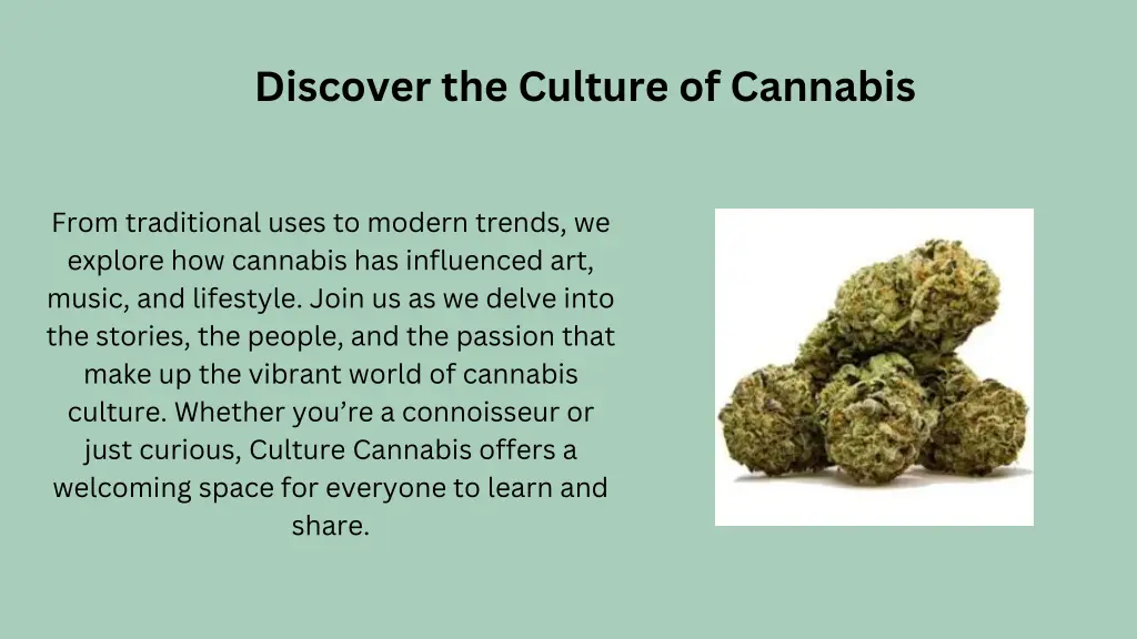 discover the culture of cannabis