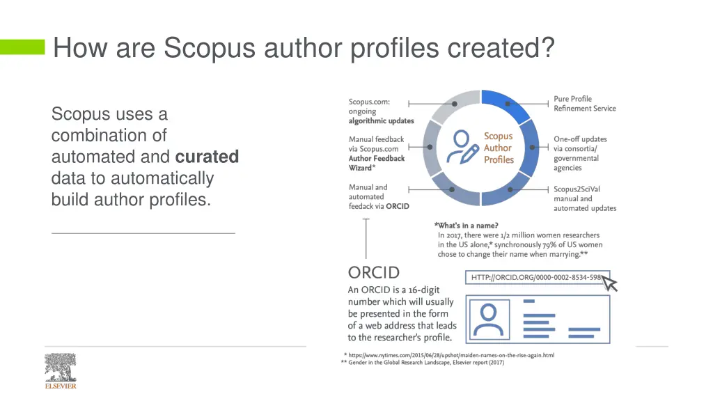 how are scopus author profiles created 1