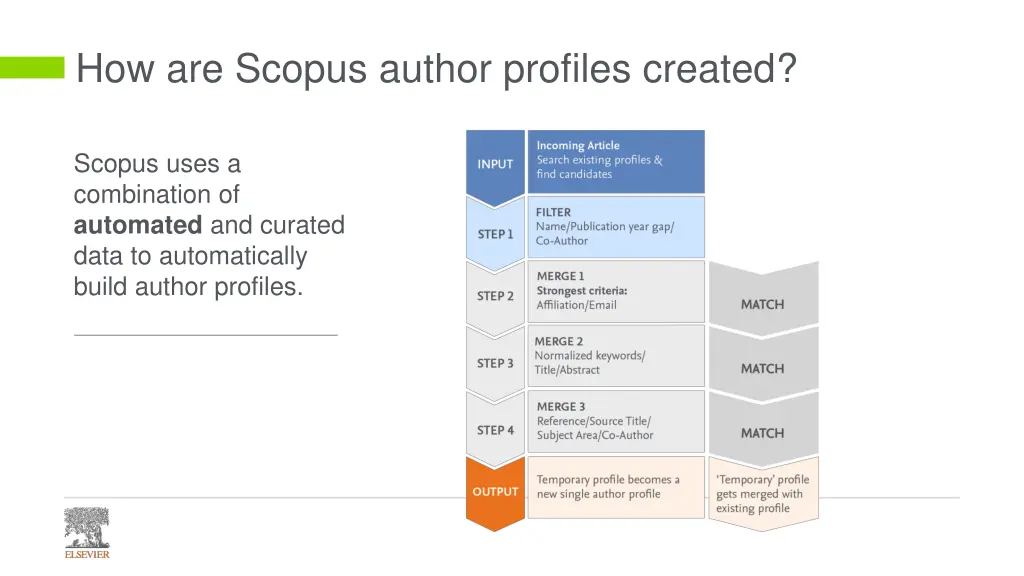 how are scopus author profiles created