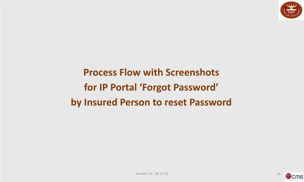 process flow with screenshots for ip portal