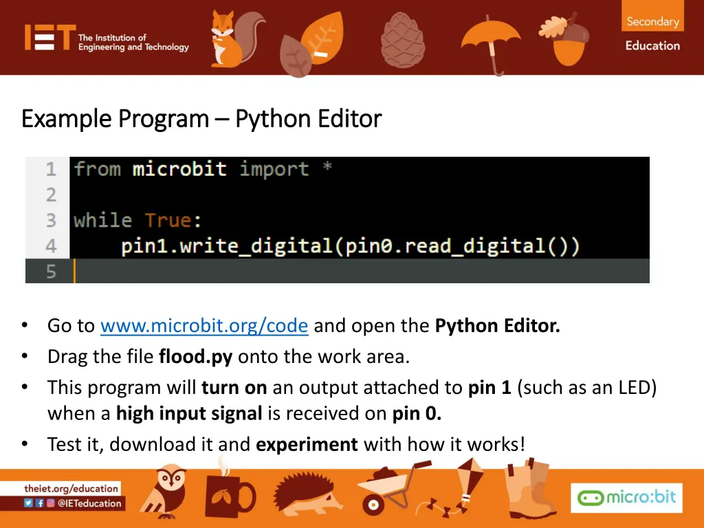 example program example program python editor