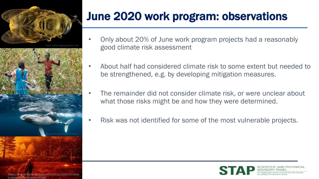 june 2020 work program observations june 2020