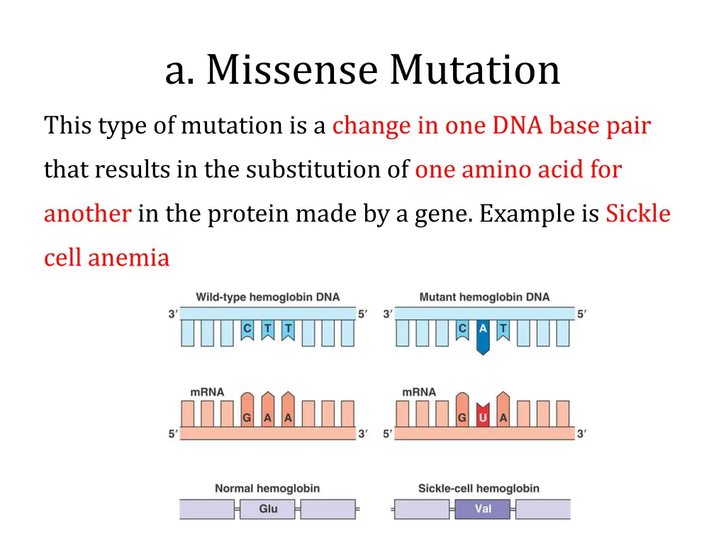 a missense mutation