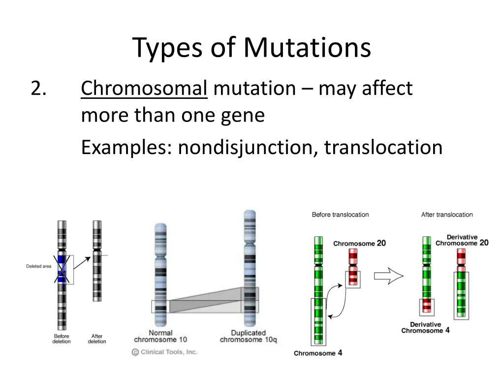 types of mutations 1