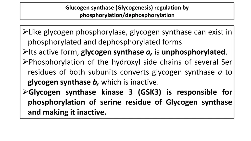 glucogen synthase glycogenesis regulation