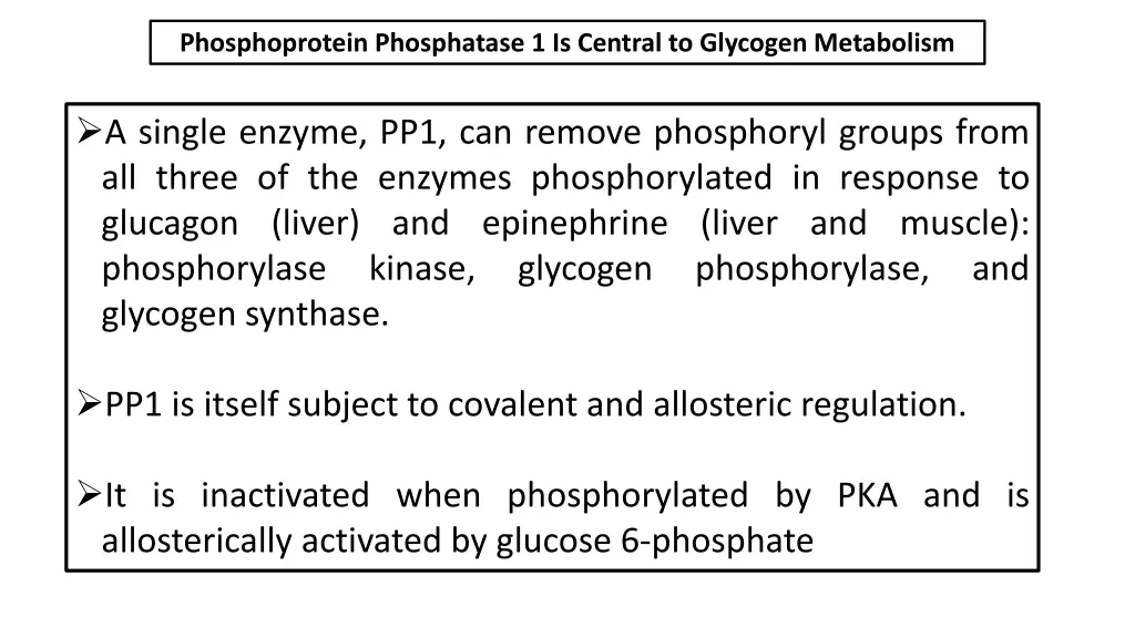 phosphoprotein phosphatase 1 is central