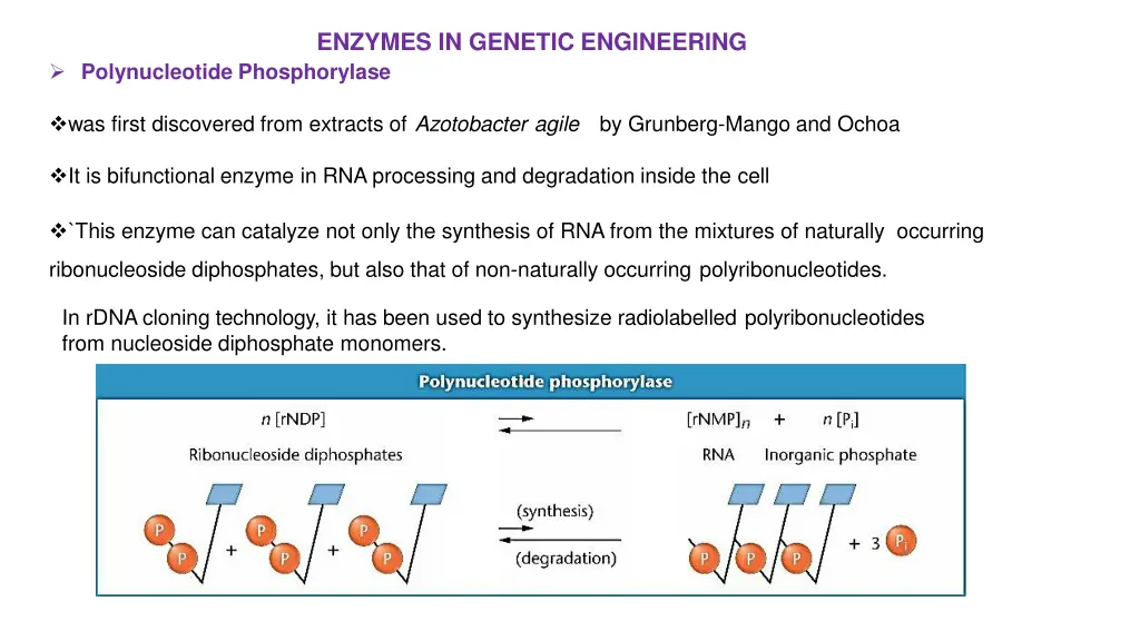 enzymes in genetic engineering